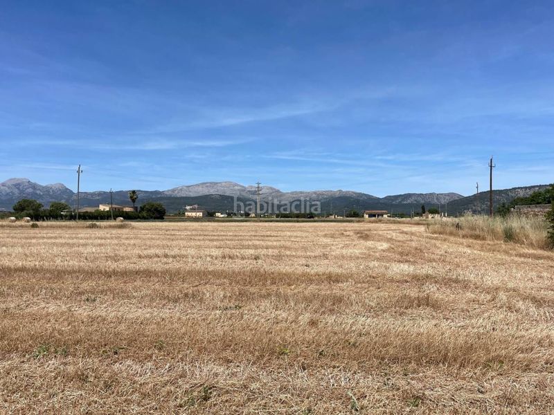 Foto e0d35f33-ad54-477f-b4d6-7a09147eabc1. Finca rústica a Sa Pobla