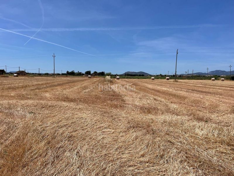 Foto f632ae96-d21b-4c6a-bdba-7809edea0079. Finca rústica a Sa Pobla