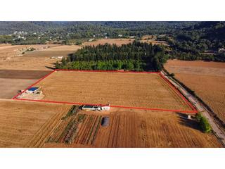 Terreny residencial a Sa Pobla. Finca rustica en venta