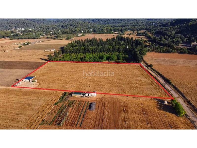 Foto ce85ba66-0ad4-429a-bb2b-ce9afa7cef16. Propriété dans Sa Pobla