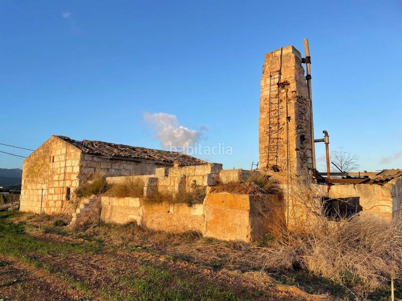 Foto 2bed84df-2da1-4a06-891b-e61081740e76. Finca rústica terreno en venta en Sa Pobla