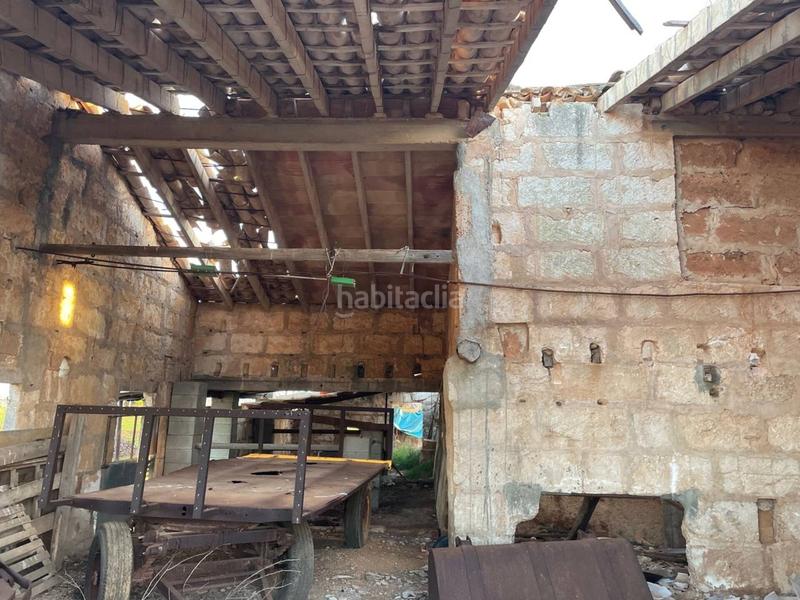 Foto 3a946f0e-07df-4f93-be86-0ee8ec7bdd15. Finca rústica terreno en venta en Sa Pobla