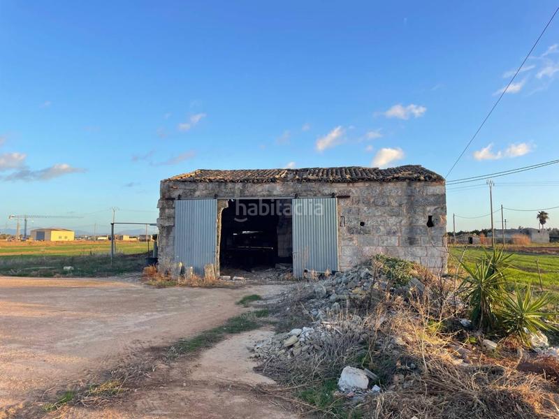 Foto cf6767b8-8471-4b41-acc3-cb76bbb68c63. Finca rústica terreno en venta en Sa Pobla