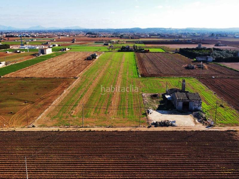 Foto d7ddddbc-7de7-45cd-849a-1096745a3df1. Finca rústica terreno en venta en Sa Pobla
