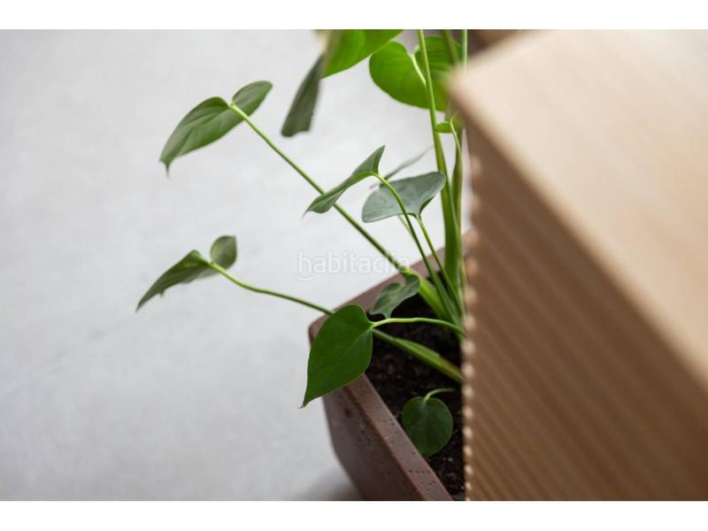 Foto 99c6a594-4b55-49e3-9f7d-3c36a2c4e60b. Location appartement dans Sa Pobla