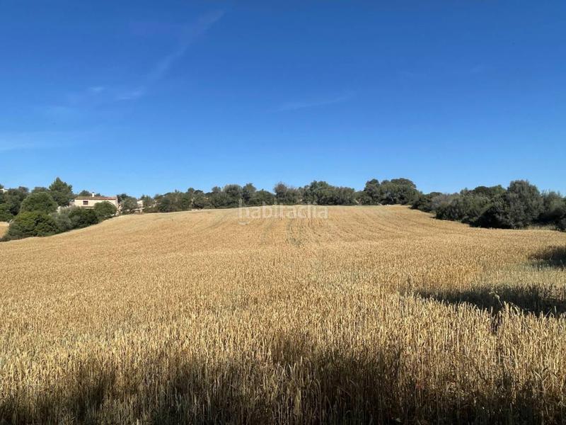 Foto 2ae936b4-661b-47fa-82c8-94d0336dd023. Terreny residencial a Muro