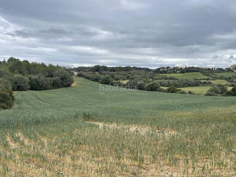 Foto 4c4ba39d-4ad2-4f6f-9a80-d1dbef11444d. Terreny residencial a Muro