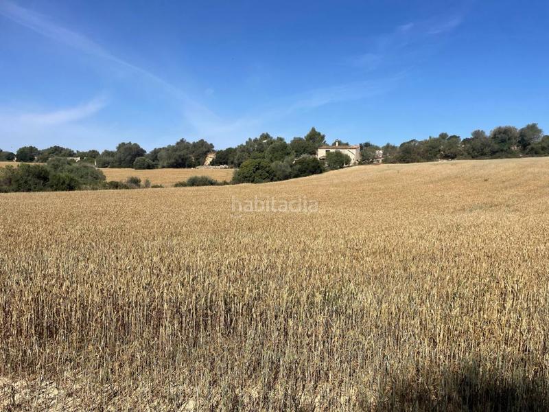 Foto eb333fef-31e8-4b64-a155-3adb3ffe1a13. Terreny residencial a Muro