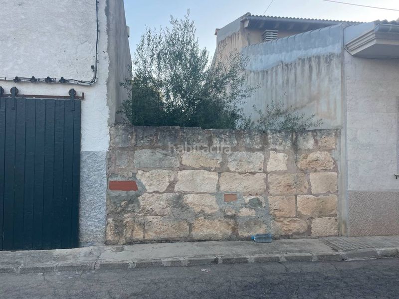 Foto 5bfa4d4f-37f2-4c0c-abb7-8ef9937c7006. Finca rústica a Sa Pobla