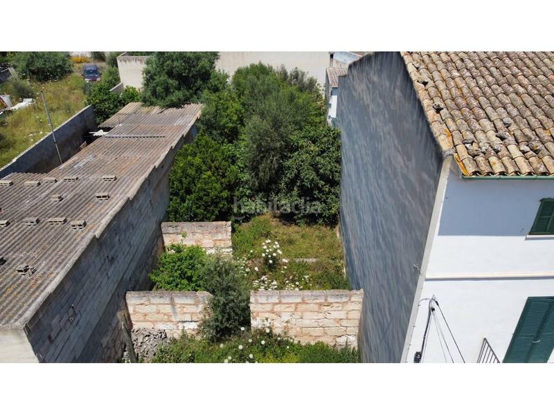 Foto b14b1153-5ff6-49eb-9af5-8120752ac402. Terreno residenziale in Sa Pobla
