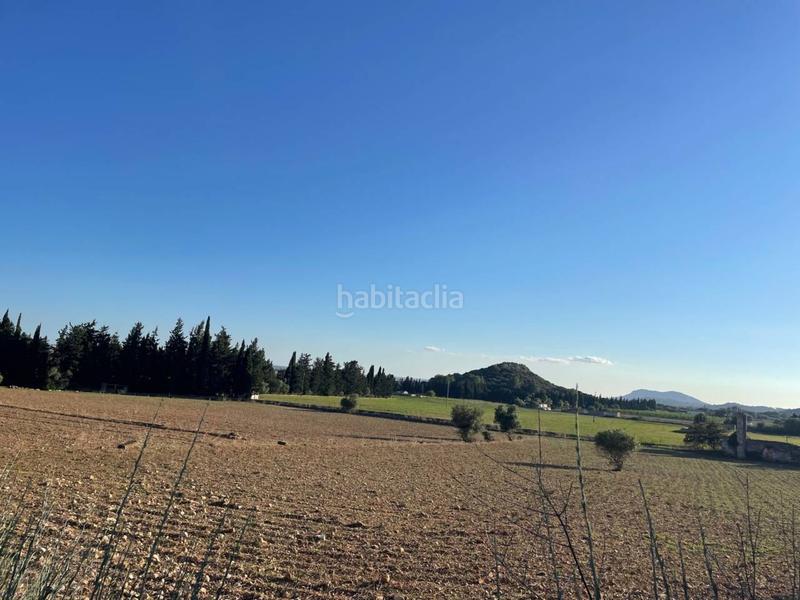 Foto 7df771da-3232-4c12-87ab-7fdbd7ccb2ce. Casale in Sa Pobla