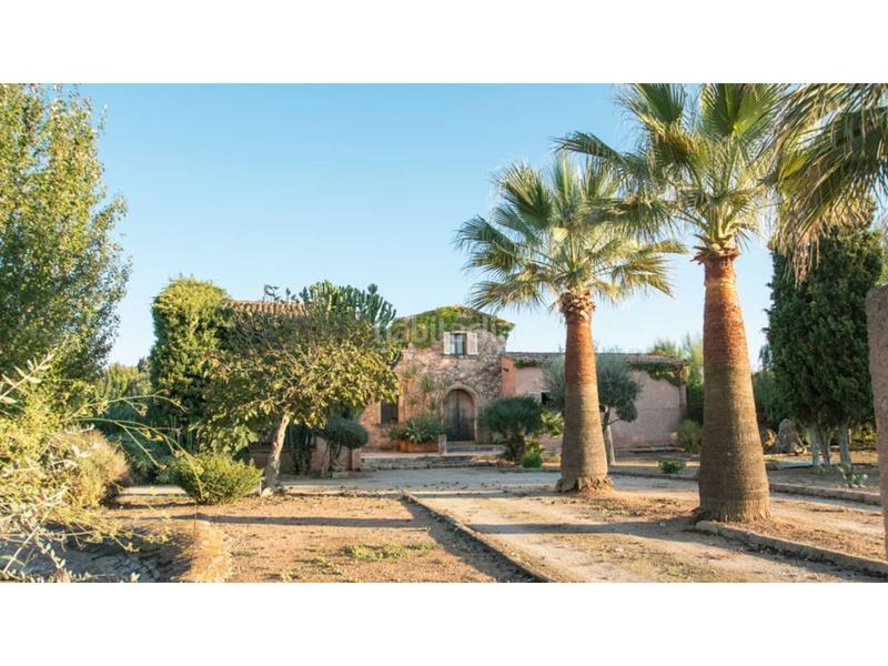 Foto 8da975a6-84f1-4bf4-a8d6-0e46fe27ff1b. Casale in Sa Pobla