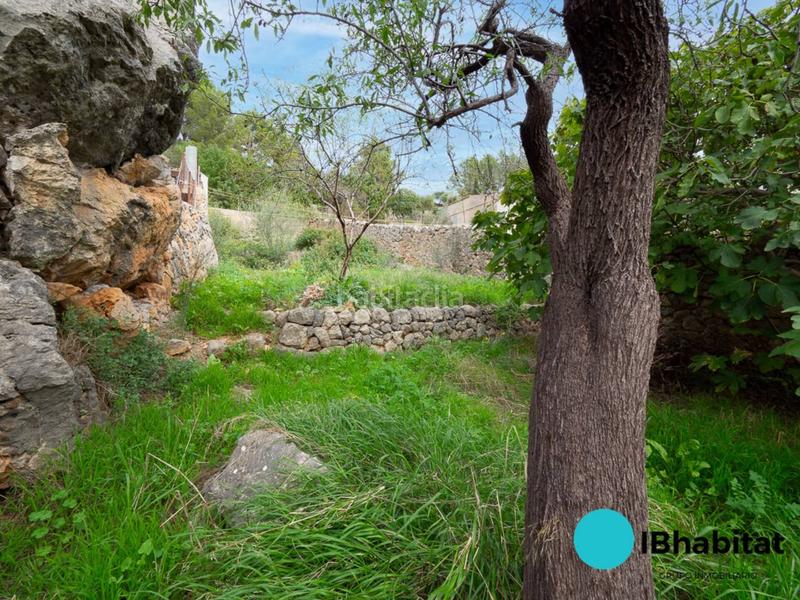 Foto 3a01a907-dd47-4c09-9627-d18b268c298c. Casa  en venta en caimari en Selva