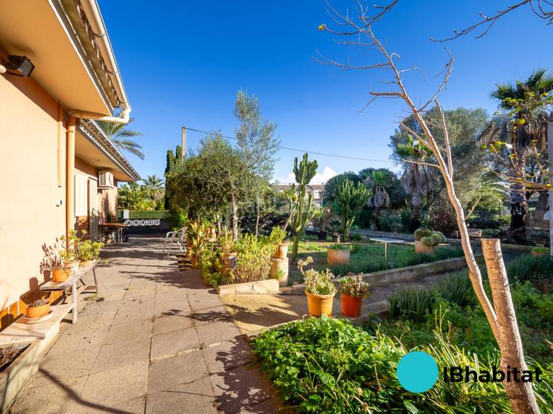 Foto e7e74019-16ea-4c61-9e58-776f1f3cdbcd. Xalet amb aparcament a Can Picafort Santa Margalida