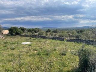 Rural plot in Santa Margalida Poble. Finca edificable con vistas con licencia y proyecto