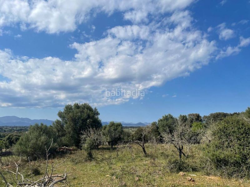 Foto 87332708-9c25-4051-b951-987752440639. Finca rústica a Santa Margalida poble Santa Margalida