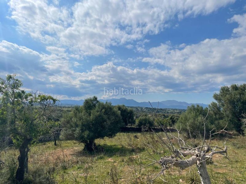 Foto d37556ad-b6cf-477a-9a4c-bbe1252cc5c7. Finca rústica a Santa Margalida poble Santa Margalida