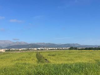 Terreny residencial a Sa Pobla. Finca rustica en venta en sa pobla