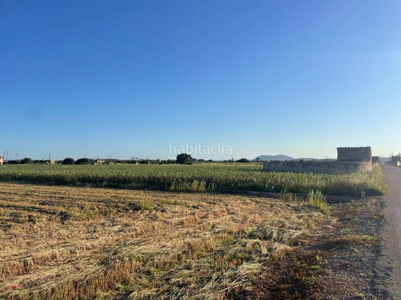 Foto 0b25bfdc-63f4-4523-a8c6-9dddbd9b00c4. Finca rústica finca rustica en venta en Sa Pobla