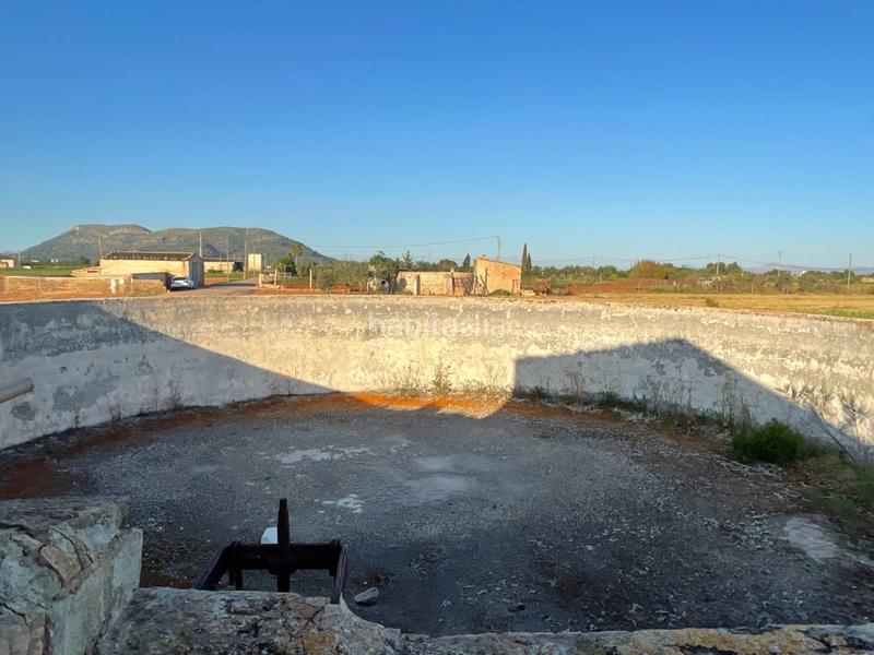 Foto faede427-1f9d-4f99-b285-78bcff2d97fb. Finca rústica finca rustica en venta en Sa Pobla