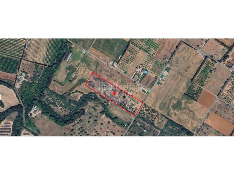 Foto 2ce2ba8c-364d-4af4-8363-7677dc114623. Propriété dans Llubí