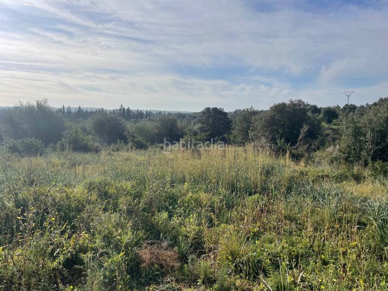 Foto 364262ce-7d66-4bf7-bca7-20ee0c99b8f3. Propriété dans Llubí