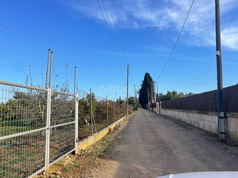 Foto 731132f9-0256-487f-a103-1d29b403770f. Propriété dans Llubí