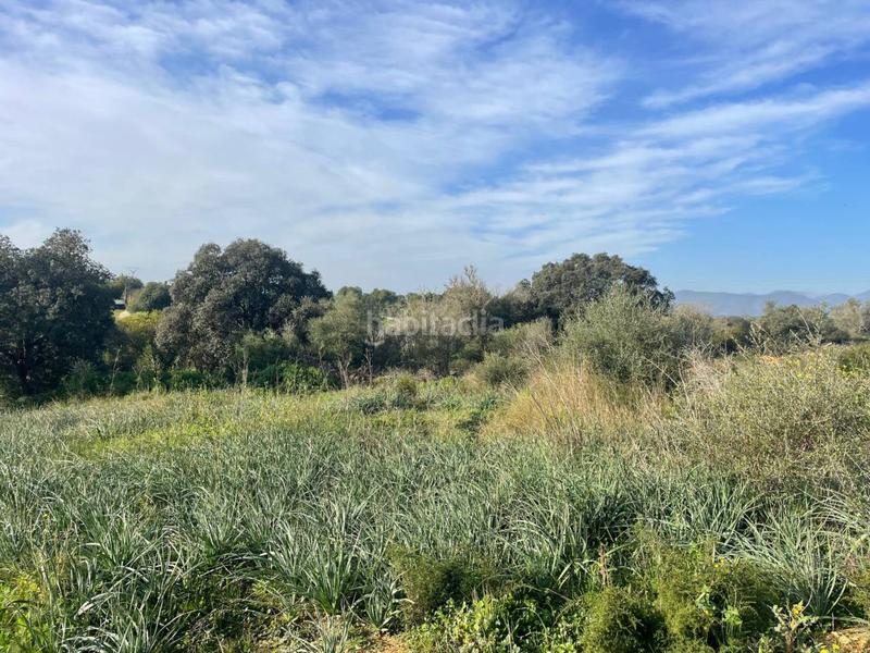 Foto d77d6e48-a7e0-4b3e-96e3-b989bdf3104f. Propriété dans Llubí