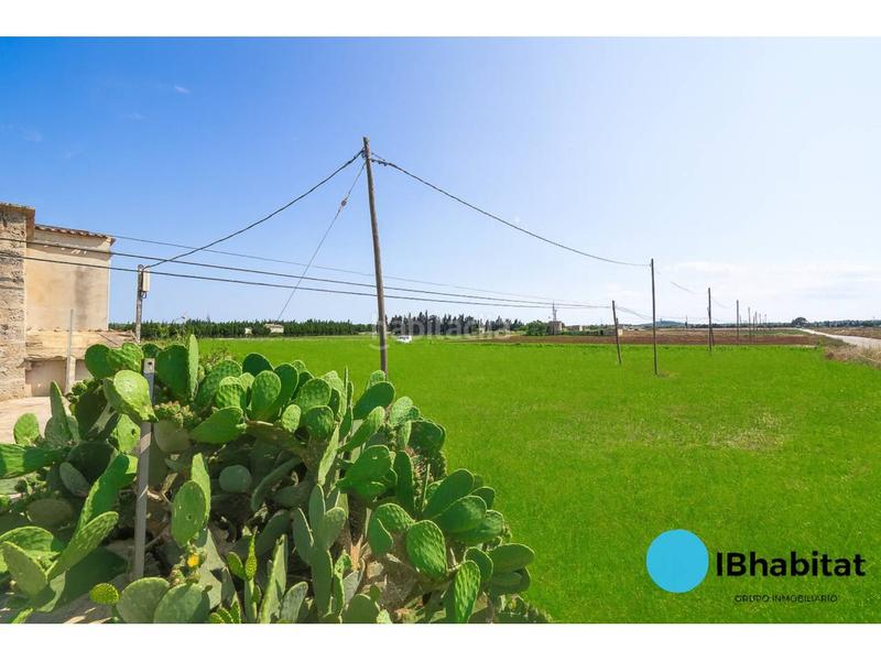 Foto 6bd83075-5b28-4935-b95b-5c4e9ef19677. Fondo rustico in Muro