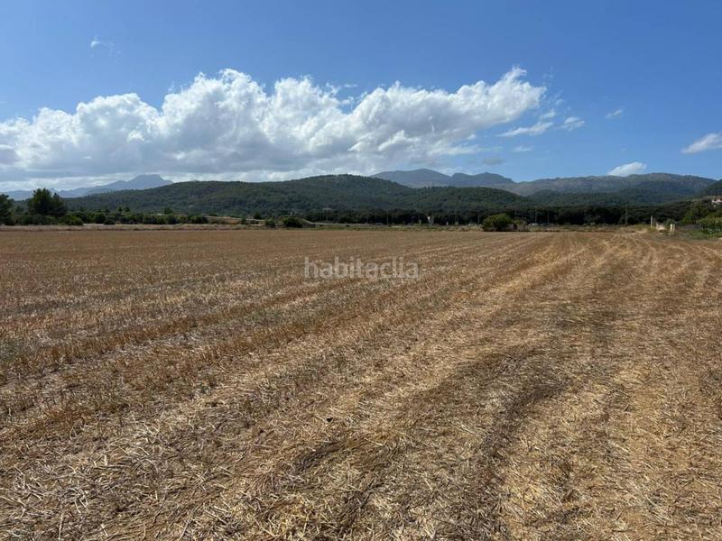 Foto 0027c757-278e-40d8-bda0-edd3f340e9e7. Terreno residencial parcela en venta en Sa Pobla