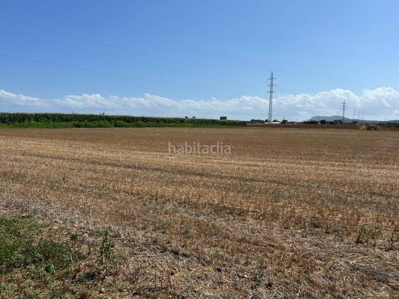 Foto 16022b6d-4d53-4605-ade3-722640186704. Terreno residencial parcela en venta en Sa Pobla