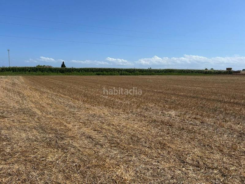 Foto 2d17bc7e-fc33-4b29-ac4a-153b5b424f15. Terreno residencial parcela en venta en Sa Pobla