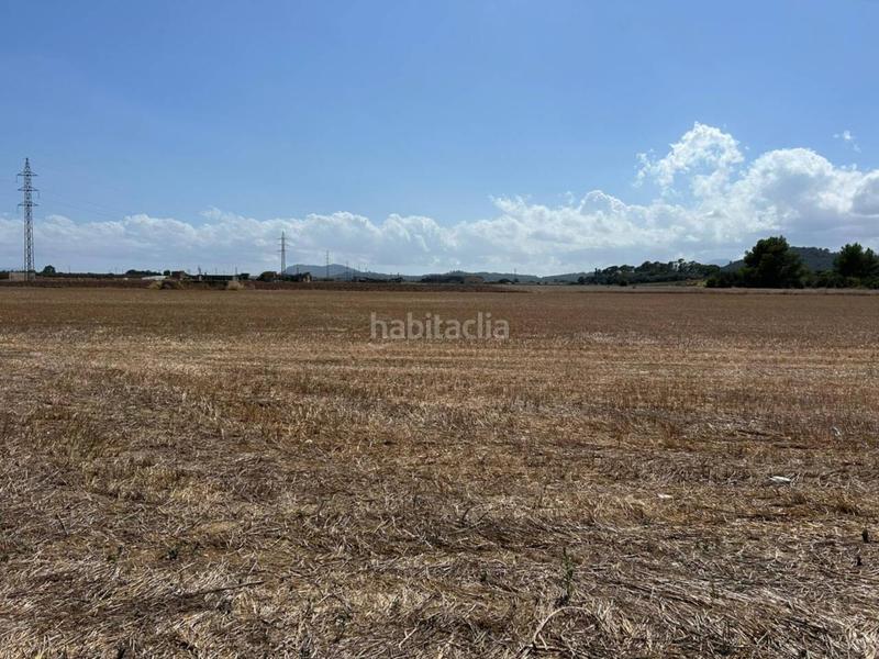 Foto 2fd1cba9-c79d-446a-afdb-c4260c238428. Terreno residencial parcela en venta en Sa Pobla