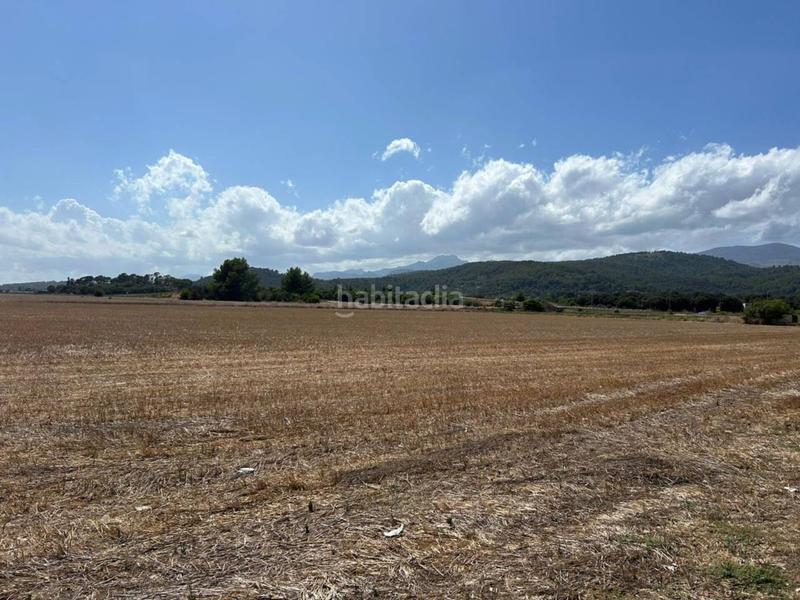 Foto 41676ca8-7afc-4af5-93ac-f70dd1fee46d. Terreno residencial parcela en venta en Sa Pobla