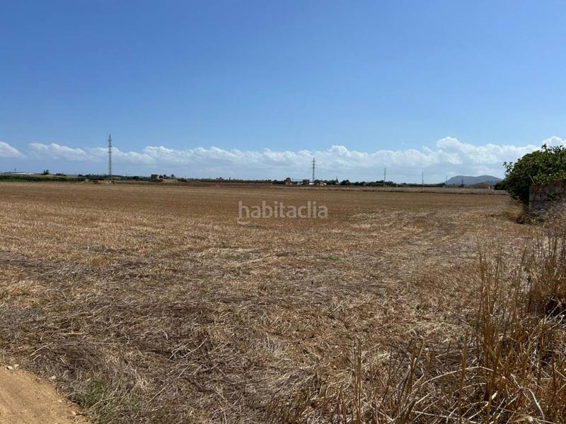 Foto 468fe1aa-ae76-460f-99f2-c4878d7458d0. Terreno residencial parcela en venta en Sa Pobla