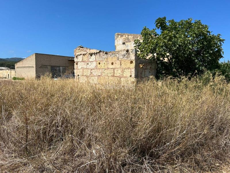 Foto 52992174-d0d8-45bc-8567-f262926bd59f. Terreno residencial parcela en venta en Sa Pobla