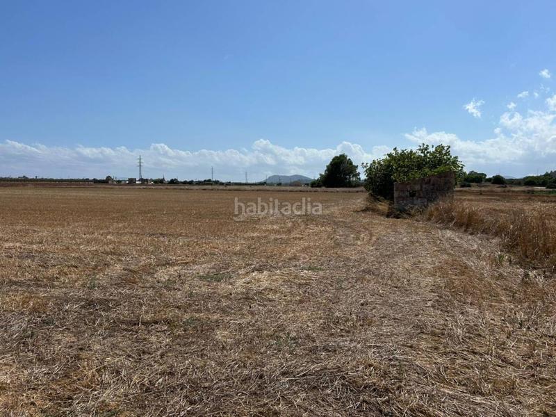 Foto b3e392e8-2603-4b0a-9779-78a16c17e8b7. Terreno residencial parcela en venta en Sa Pobla