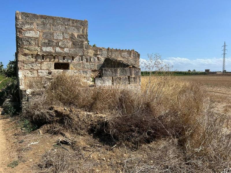 Foto dd75ba70-387d-49b4-9cde-f95e0d53d3cf. Terreno residencial parcela en venta en Sa Pobla