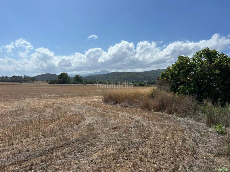 Foto de5e365e-3543-4033-84d4-bdf45209f081. Terreno residencial parcela en venta en Sa Pobla