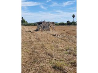 Finca rústica a Muro. Terreno en venta en can picafort