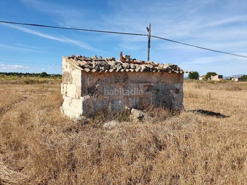 Foto cb5714c9-8a60-4bdc-af8a-6fa03fddce13. Finca rústica a Muro