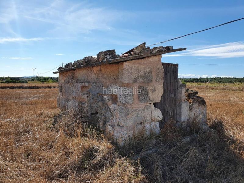 Foto d4ba5e8f-9aec-4380-b50a-ef8212f5d1e5. Finca rústica a Muro