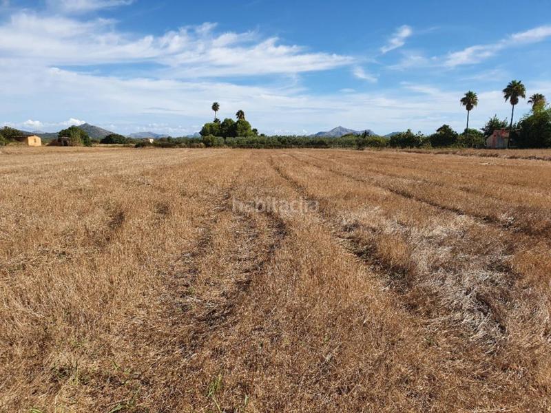 Foto ffa609c8-0491-495d-a7da-1a72521e4b98. Finca rústica a Muro