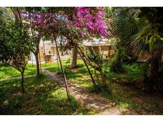 Haus in Can Picafort. Casa unifamiliar en venta en can picafort
