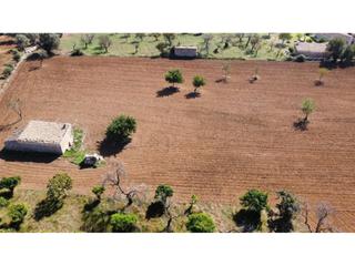 Landgut in Sa Pobla. Terreno en venta en sa pobla