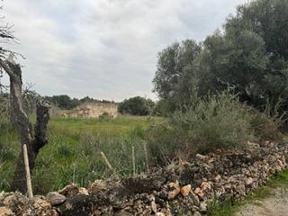 Rural plot in Santa Margalida Poble. Finca rustica en venta en santa margalida