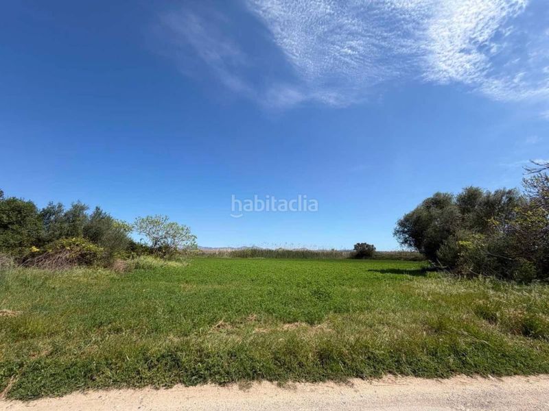 Foto 1dd925c8-6e7e-4191-b636-3313610ad7c1. Finca rústica finca rustica en venta en Muro