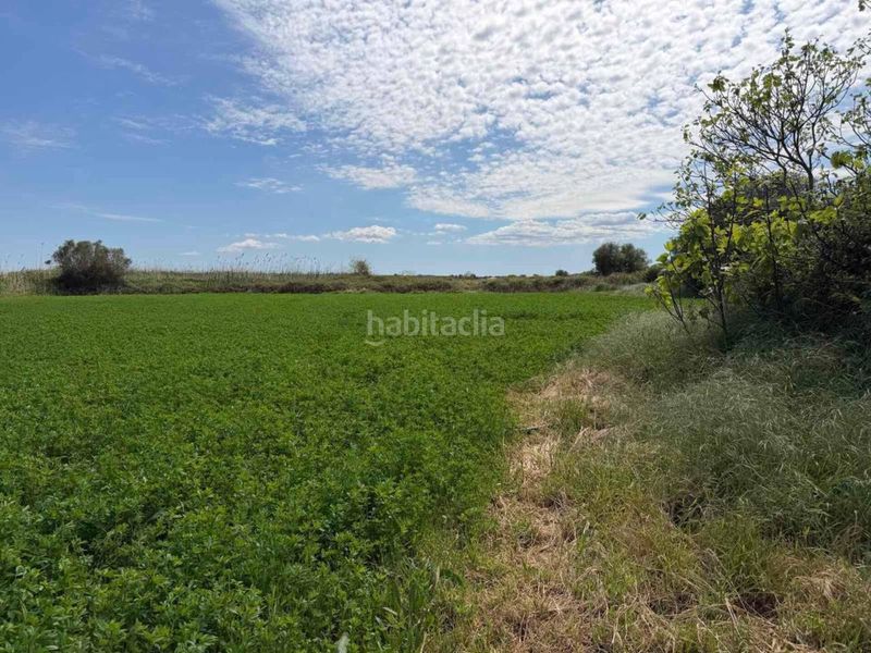Foto 3bac9cc9-ae77-49a0-93fd-9c1f99f31859. Finca rústica finca rustica en venta en Muro