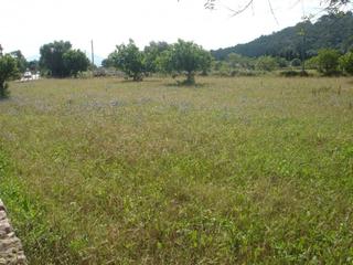 Rural plot in Muro. Finca rustica en venta