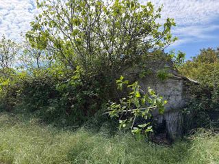 Rural plot in Muro. Finca rustica en venta